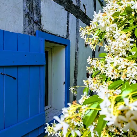 Maison Familiale Au Coeur Des Landes Tatil Evi Escource