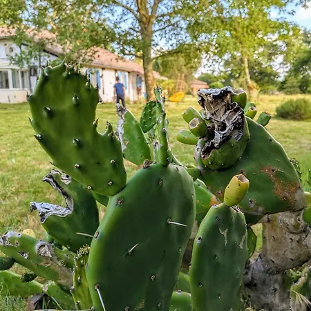 Maison Familiale Au Coeur Des Landes