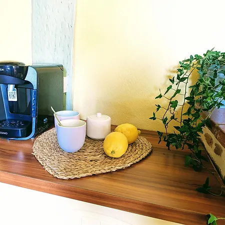 Maison Familiale Au Coeur Des Landes Tatil Evi