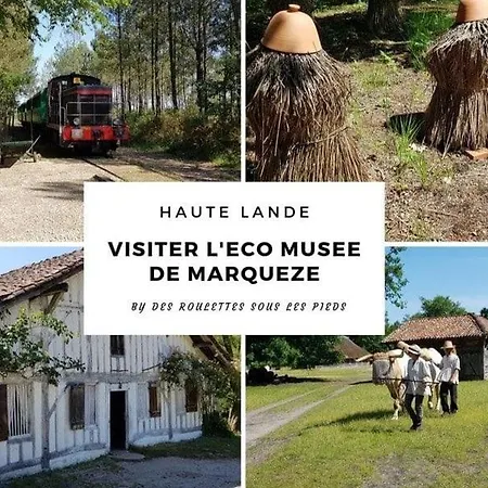 Maison Familiale Au Coeur Des Landes Tatil Evi