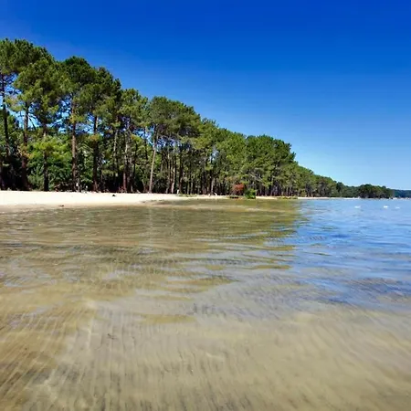 Maison Familiale Au Coeur Des Landes Tatil Evi